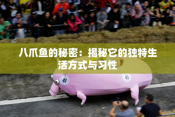 八爪鱼的秘密：揭秘它的独特生活方式与习性