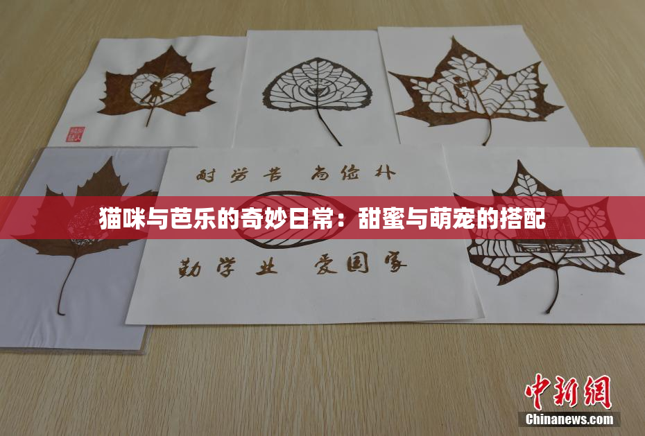 猫咪与芭乐的奇妙日常：甜蜜与萌宠的搭配