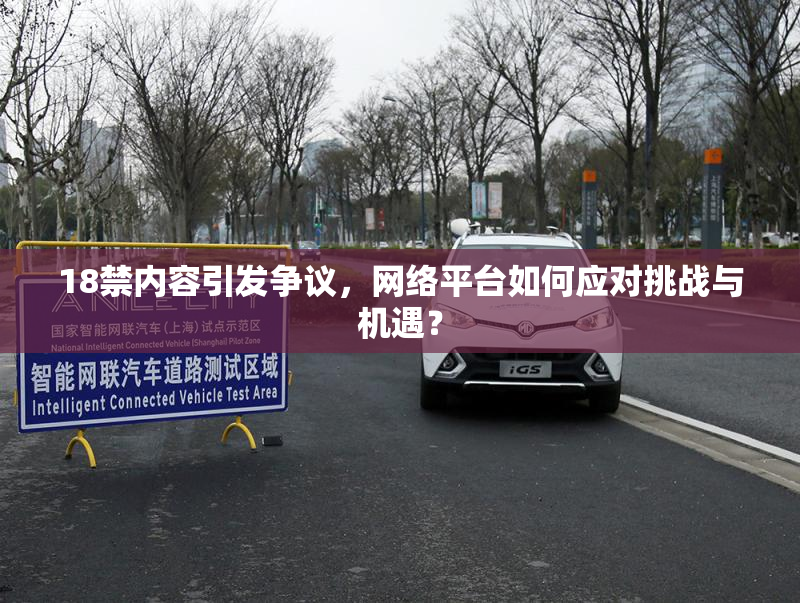 18禁内容引发争议，网络平台如何应对挑战与机遇？