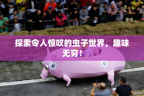 探索令人惊叹的虫子世界，趣味无穷！