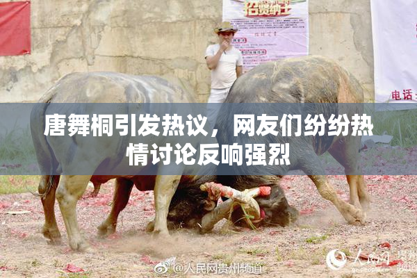 唐舞桐引发热议，网友们纷纷热情讨论反响强烈