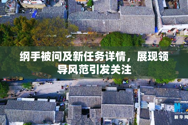 纲手被问及新任务详情，展现领导风范引发关注