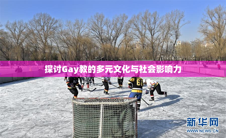 探讨Gay教的多元文化与社会影响力