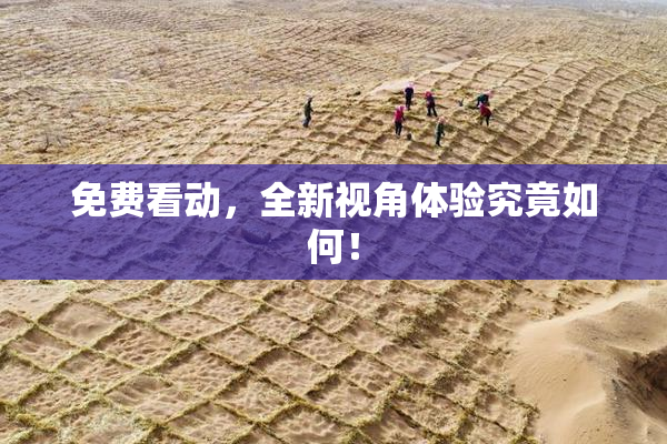 免费看动，全新视角体验究竟如何！