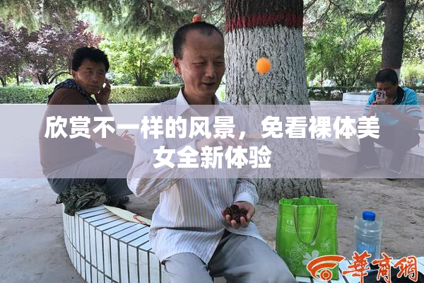 欣赏不一样的风景，免看裸体美女全新体验