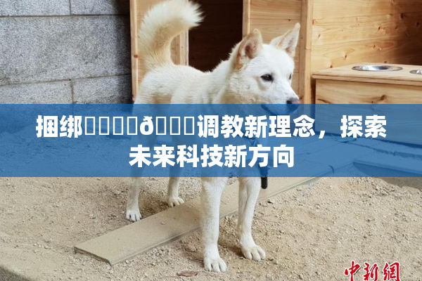 捆绑❌‌❌‌🔞调教新理念，探索未来科技新方向