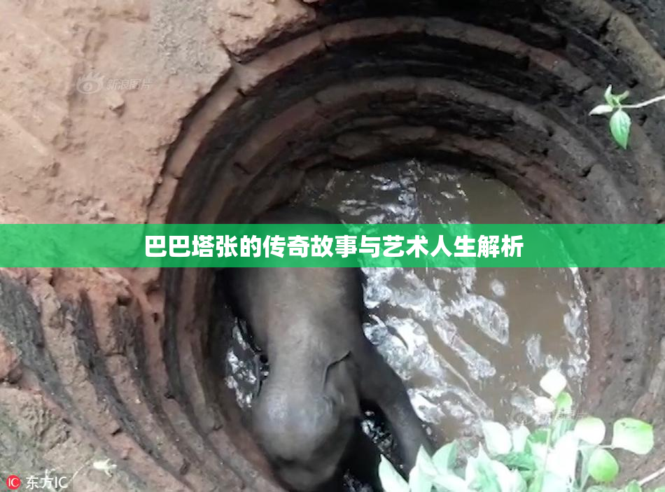 巴巴塔张的传奇故事与艺术人生解析
