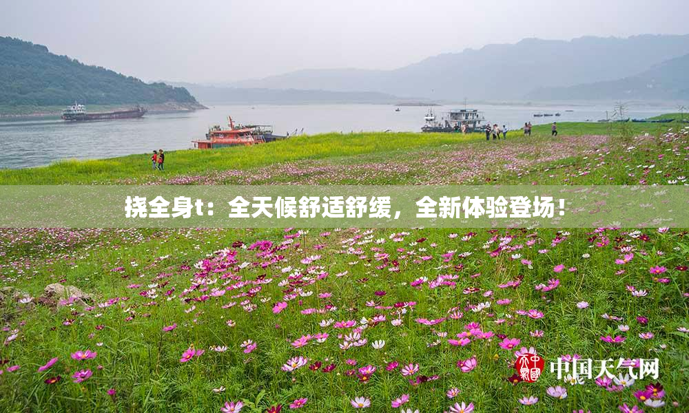 挠全身t：全天候舒适舒缓，全新体验登场！
