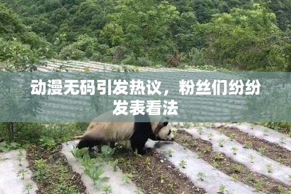 动漫无码引发热议，粉丝们纷纷发表看法