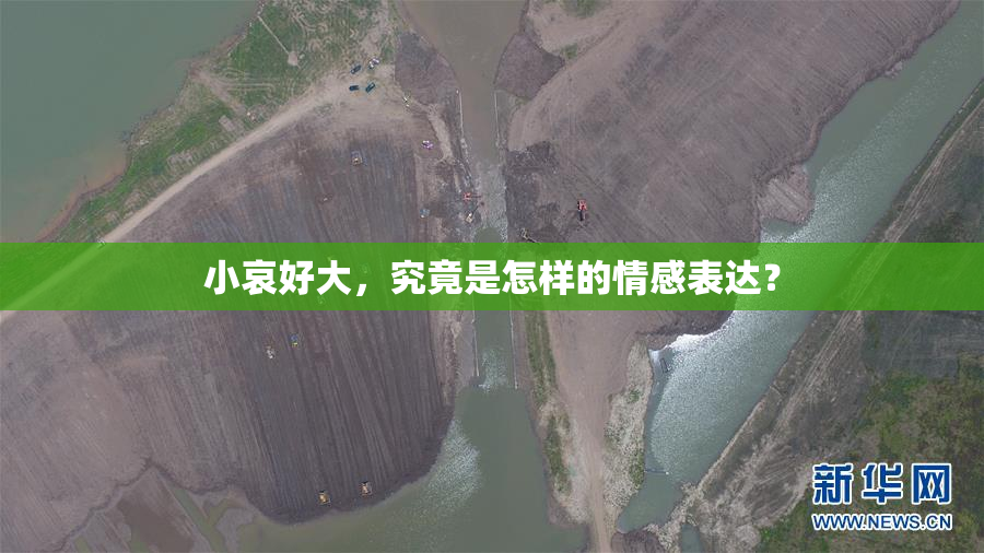 小哀好大，究竟是怎样的情感表达？