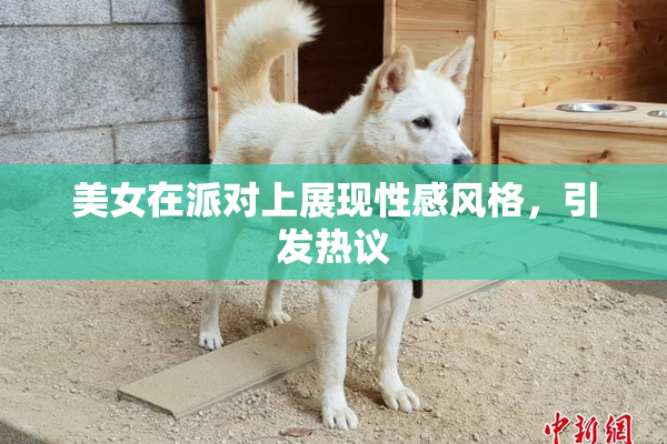 美女在派对上展现性感风格，引发热议