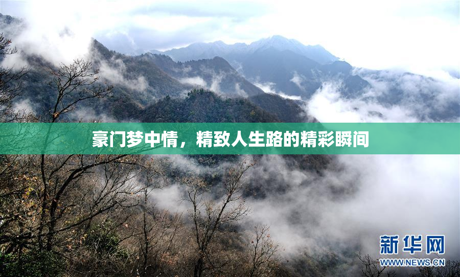 豪门梦中情，精致人生路的精彩瞬间