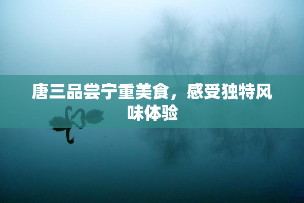 唐三品尝宁重美食，感受独特风味体验