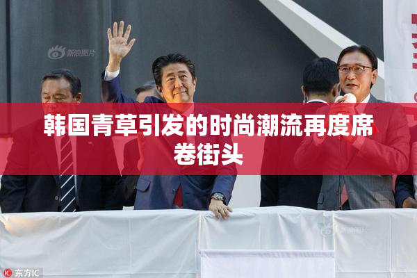 韩国青草引发的时尚潮流再度席卷街头