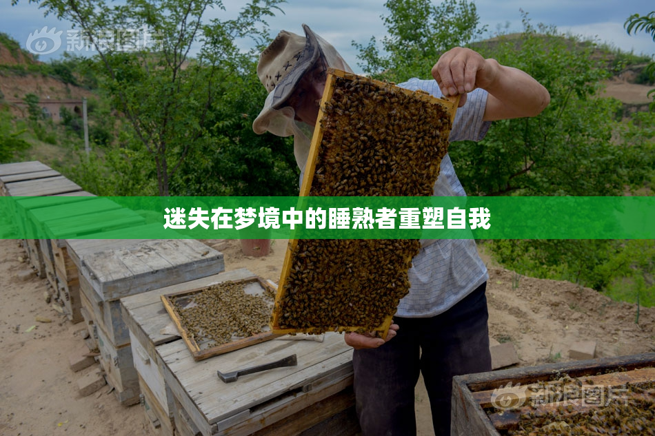 迷失在梦境中的睡熟者重塑自我