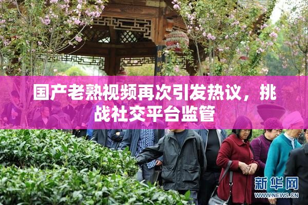 国产老熟视频再次引发热议，挑战社交平台监管