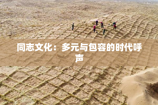 同志文化：多元与包容的时代呼声