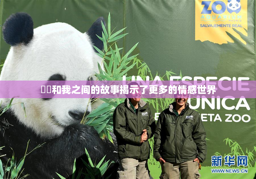 妺妺和我之间的故事揭示了更多的情感世界