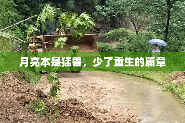 月亮本是猛兽，少了重生的篇章