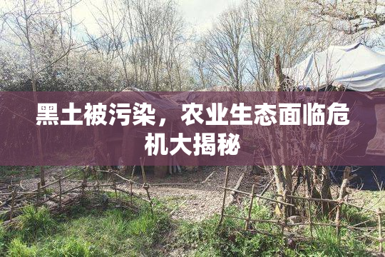 黑土被污染，农业生态面临危机大揭秘