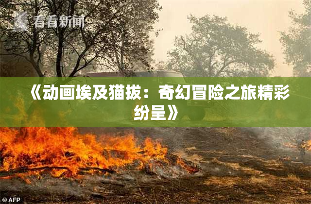 《动画埃及猫拔：奇幻冒险之旅精彩纷呈》