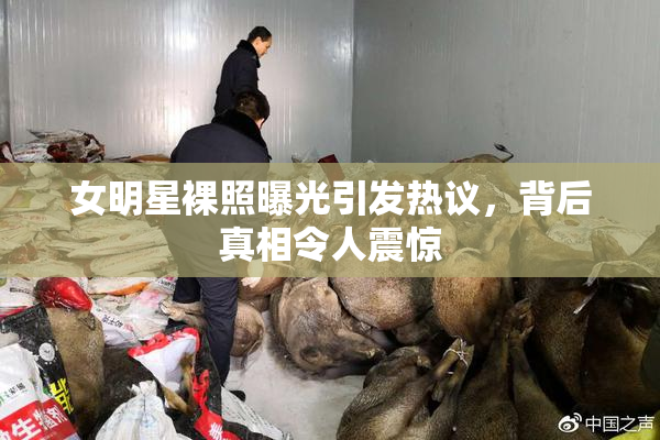女明星裸照曝光引发热议，背后真相令人震惊