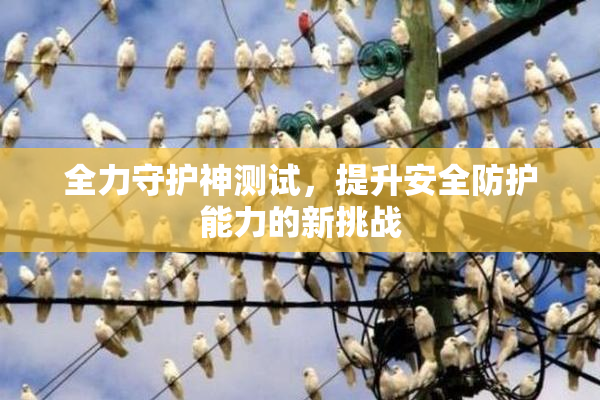 全力守护神测试，提升安全防护能力的新挑战