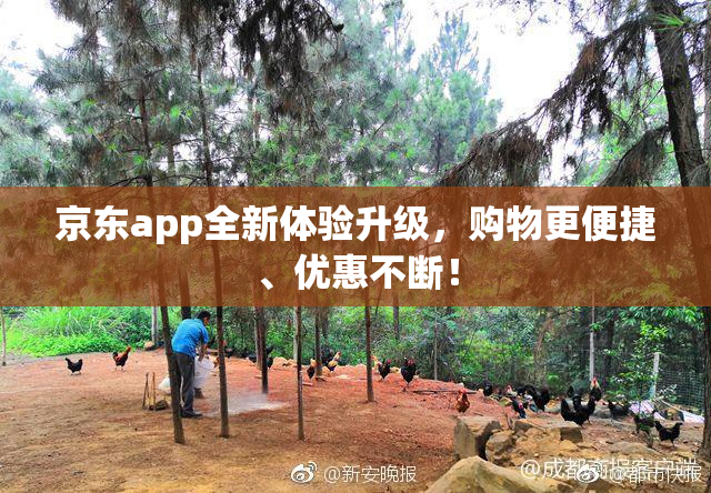 京东app全新体验升级，购物更便捷、优惠不断！