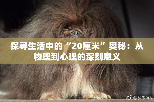 探寻生活中的“20厘米”奥秘：从物理到心理的深刻意义