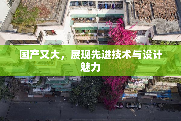 国产又大，展现先进技术与设计魅力