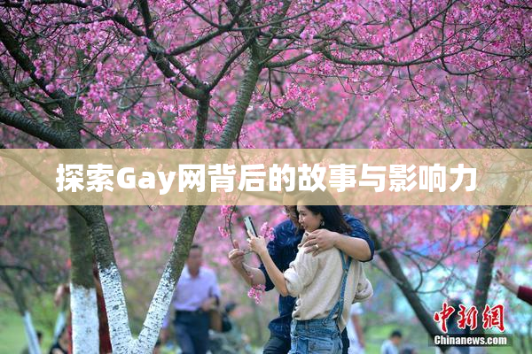 探索Gay网背后的故事与影响力