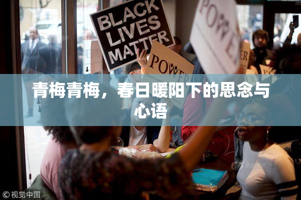 青梅青梅，春日暖阳下的思念与心语