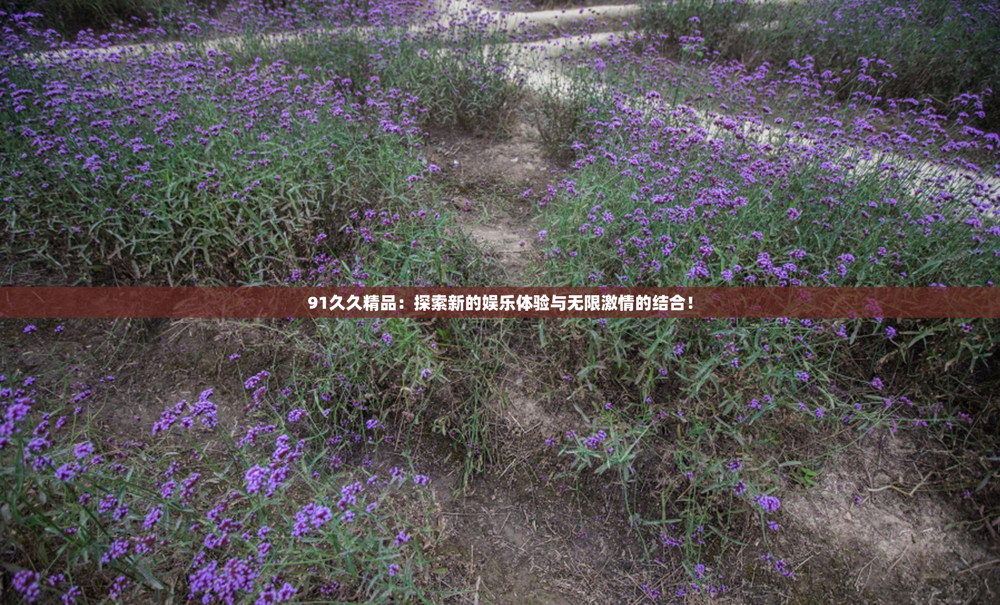 91久久精品：探索新的娱乐体验与无限激情的结合！