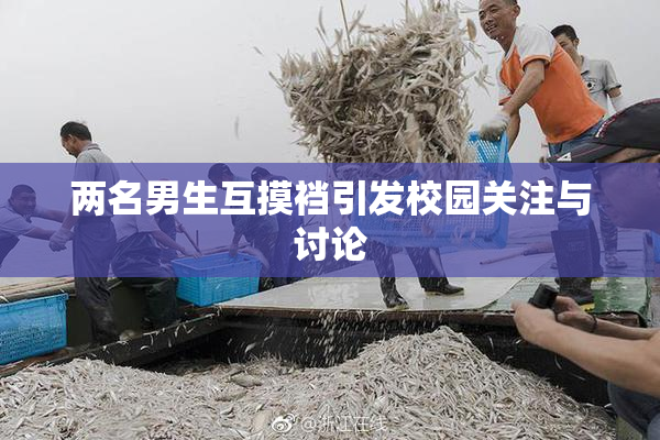 两名男生互摸裆引发校园关注与讨论