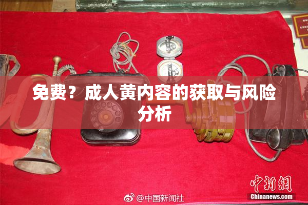 免费？成人黄内容的获取与风险分析
