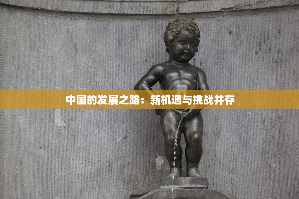 中国的发展之路：新机遇与挑战并存