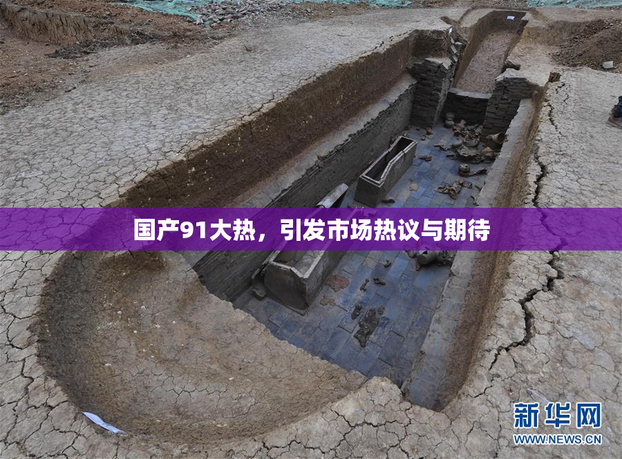 国产91大热，引发市场热议与期待