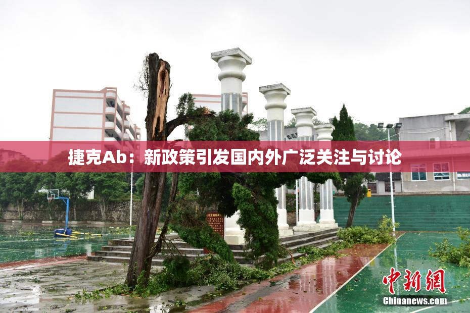 捷克Ab：新政策引发国内外广泛关注与讨论