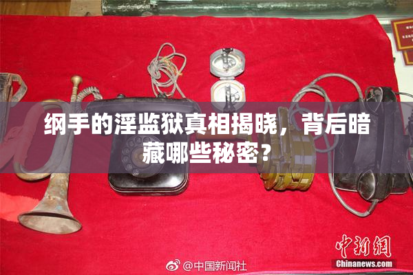纲手的淫监狱真相揭晓，背后暗藏哪些秘密？