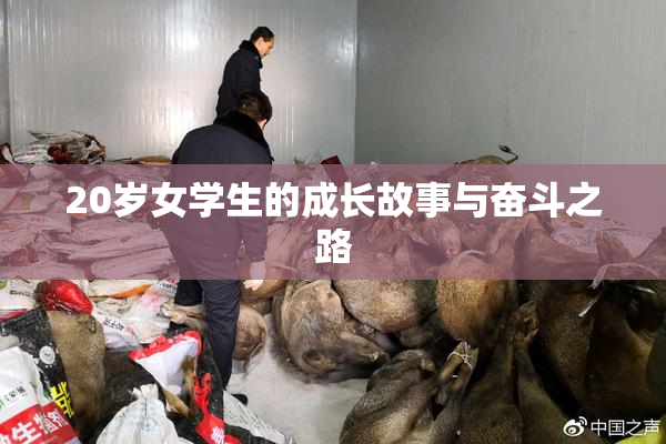 20岁女学生的成长故事与奋斗之路