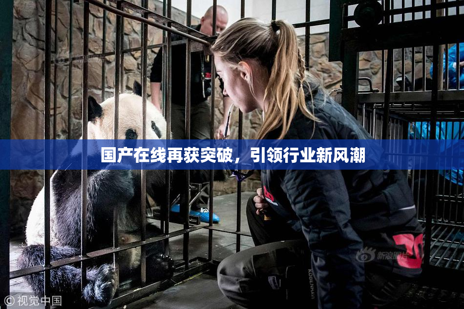 国产在线再获突破，引领行业新风潮