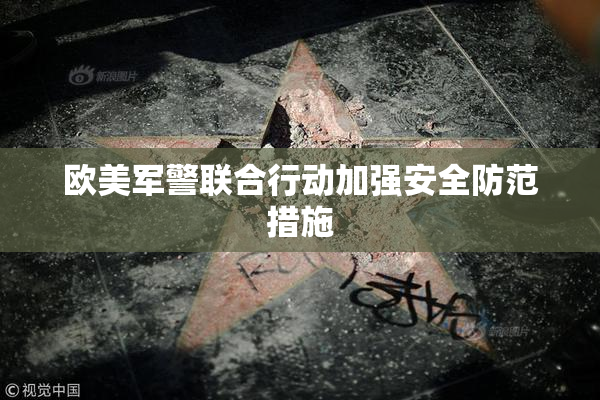欧美军警联合行动加强安全防范措施