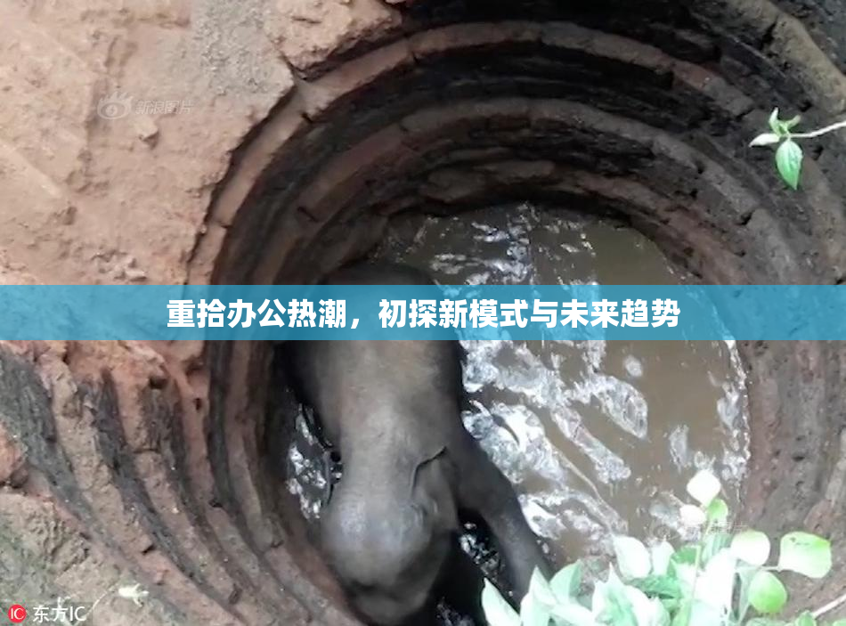 重拾办公热潮，初探新模式与未来趋势