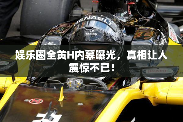 娱乐圈全黄H内幕曝光，真相让人震惊不已！