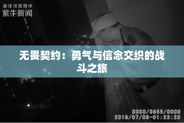 无畏契约：勇气与信念交织的战斗之旅