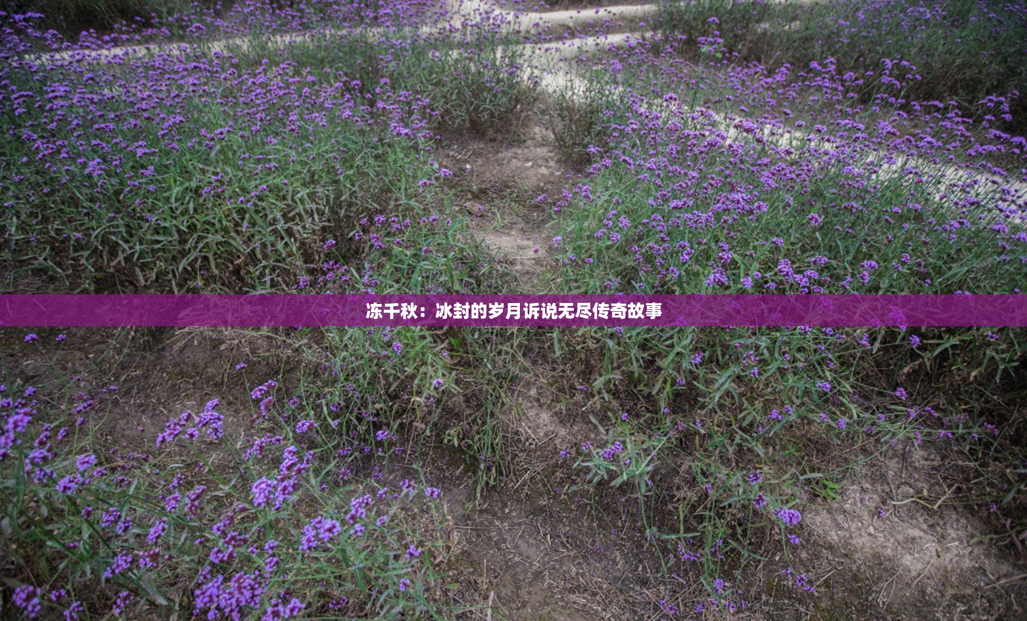 冻千秋：冰封的岁月诉说无尽传奇故事
