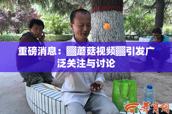重磅消息：▓蘑菇视频▓引发广泛关注与讨论