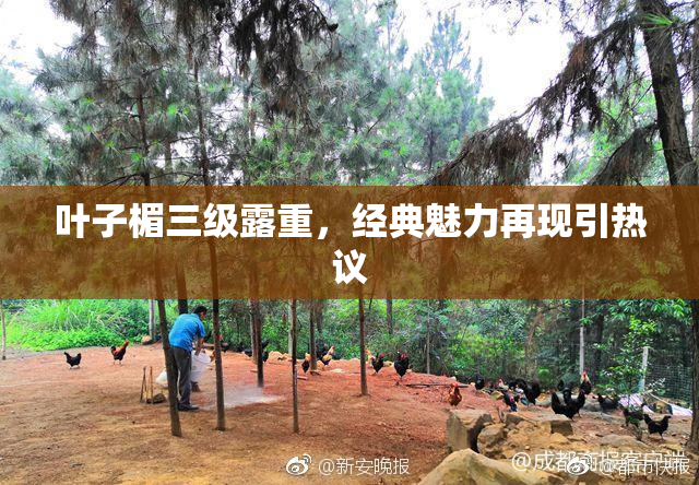 叶子楣三级露重，经典魅力再现引热议