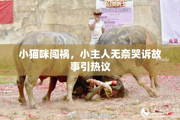 小猫咪闯祸，小主人无奈哭诉故事引热议