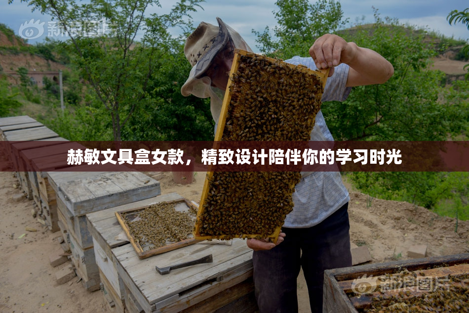 赫敏文具盒女款，精致设计陪伴你的学习时光